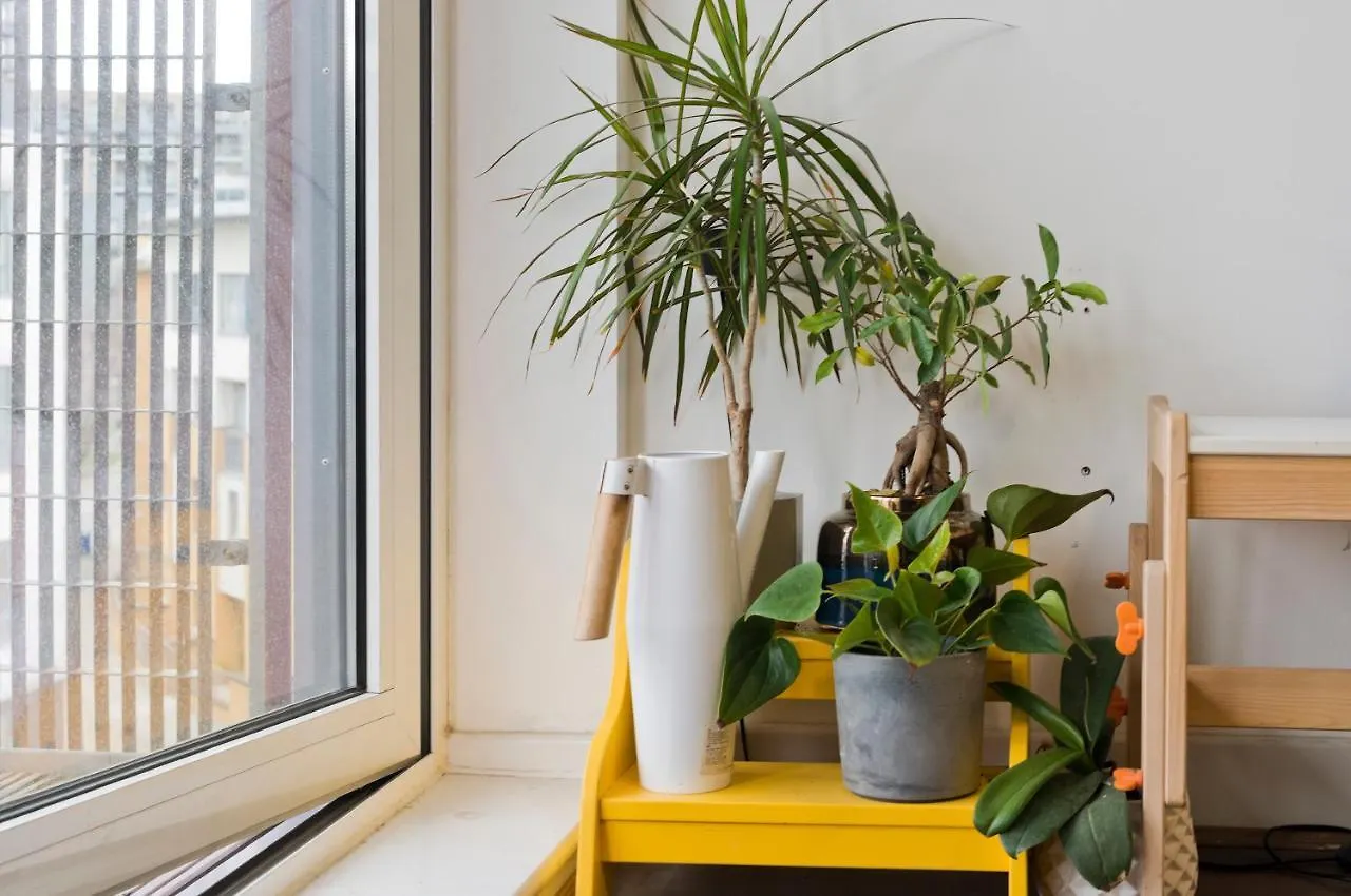 Bright Greenwich Flat Near Canary Wharf By Underthedoormat London Apartment